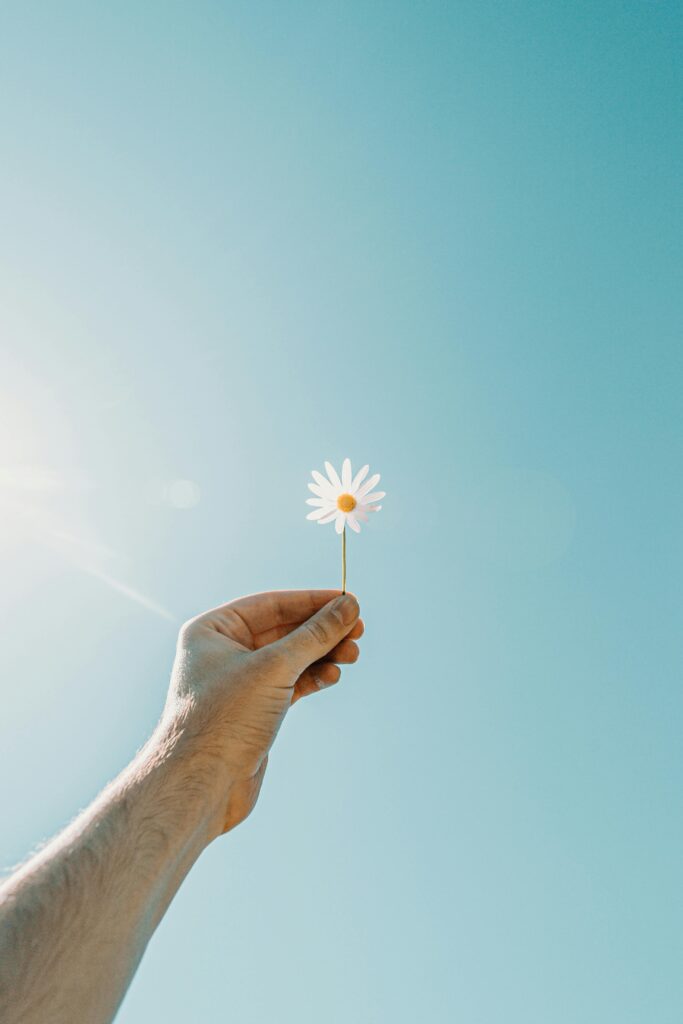 pexels-photo-4705016-4705016 Minimalist photo of a hand holding a daisy against a bright blue sky, capturing simplicity and beauty.